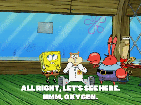 season 8 bubble troubles GIF by SpongeBob SquarePants