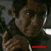 kinji fukasaku horror GIF by Shudder