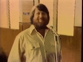 Happy Beach Boys GIF