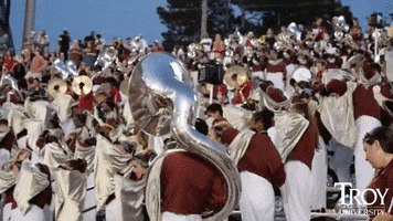 sound of the south sots band GIF by troyuniversity