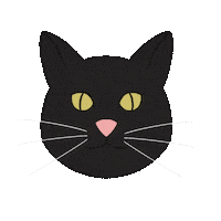 Cats Gato Preto Sticker