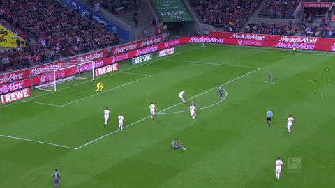 timo horn GIF by 1. FC Köln