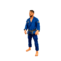 Ufc Brazilianjiujitsu Sticker by Alliance Jiu-Jitsu Association