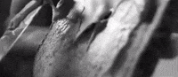american dream GIF by J.S. Ondara