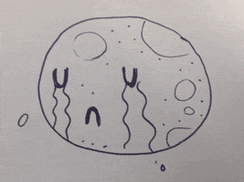 illustration weep GIF by gifburns