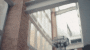 collegeoflakecounty celebrate school yay college GIF