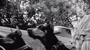 Music Video Gospel GIF by Macklemore