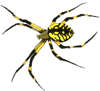 Sticker Illustration Sticker by patternbase