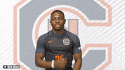Cnms20 GIF by Carson-Newman Athletics
