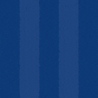 Football Goal GIF by Odense Boldklub