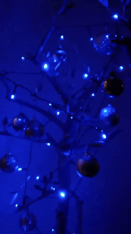 Simongip giphyupload GIF