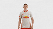 Football Hang Loose GIF by RB Leipzig