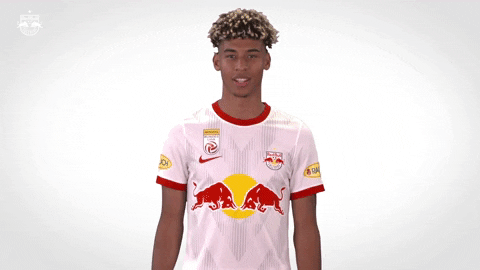 Red Bull Yes GIF by FC Red Bull Salzburg