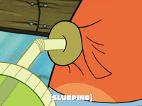 season 4 GIF by SpongeBob SquarePants