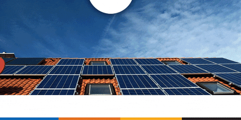 JasSunEdison giphyupload GIF