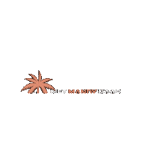 metmandynaarcuracao curacao metmandynaarcuracao mandyvanwillegen reismagazine Sticker