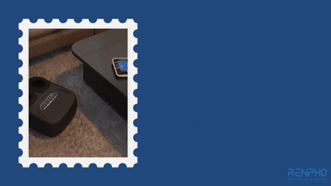 Fitness Health GIF by RENPHO