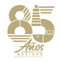Salinasec Sticker by Alcaldía Salinas