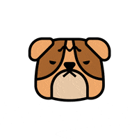 yalemusic dan yale ysm GIF