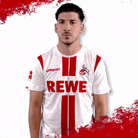 1 Fc Cologne What GIF by 1. FC Köln