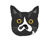 Cat Sticker