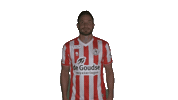 Aaron Meijers Sticker by Sparta Rotterdam