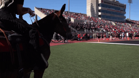 Huh GIF by University of Central Missouri