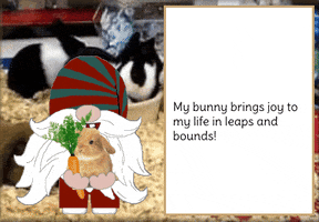 Bunny Rabbit Gnome GIF
