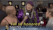 Grammy Awards 61St Grammys GIF by Recording Academy / GRAMMYs