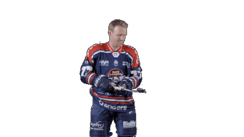 Ducs Dangers Hockey Sticker by Les Ducs d'Angers