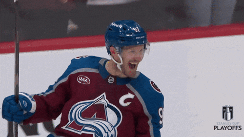 Happy National Hockey League GIF by NHL