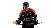 Celebration Fire Sticker by Les Ducs d'Angers