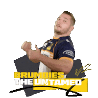Super Rugby Act Sticker by BrumbiesRugby