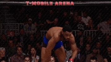 ufc 209 GIF