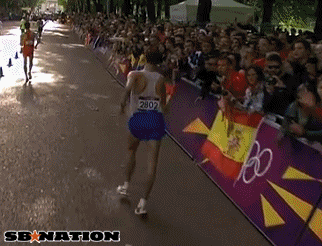 world sport GIF