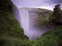 GIF by FranchiseONE.de