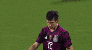 Liga Mx Football GIF by MiSelecciónMX