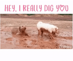 Valentines Day GIF by Impact Dog Crates