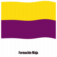 Comunidad De Madrid Flag GIF by Formación Ninja