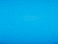 Aapi No Hate GIF