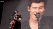 shawn mendes big weekend 2017 GIF by BBC Radio 1’s Big Weekend