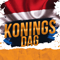 Party Dj GIF by Pablo van Hamersveld