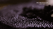 food porn yes GIF by Petrossian