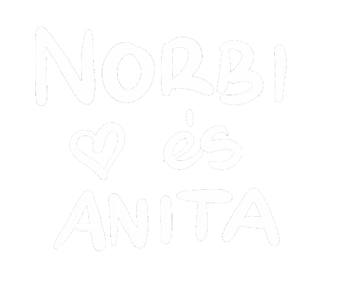 christinadetails giphyupload christinadetails norbiesanita Sticker