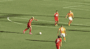 Mls Soccer GIF by Major League Soccer