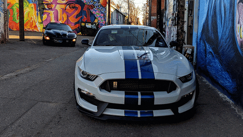 ColoradoCarsAndCoffee giphyupload mustang shelby gt350 GIF