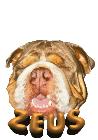 Dog Bulldog Sticker