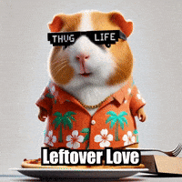 Lunch Leftovers GIF by Guinea Gambino