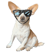 Hot Potato Sticker by Bastian the Talking Terrier