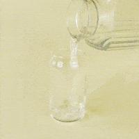 GIF by Craft Tea Fox